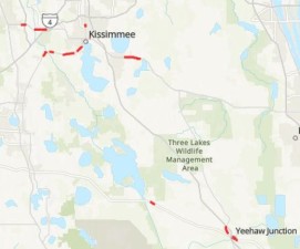 A map marking all locations in Osceola County that are currently set to have rumble striping improvements